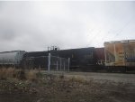 CRDX 290351